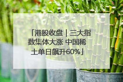 港股收盘｜三大指数集体大涨 中国稀土单日飙升60%