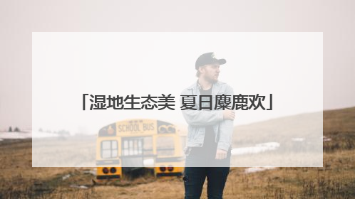 湿地生态美 夏日麋鹿欢