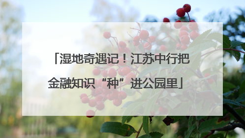 湿地奇遇记！江苏中行把金融知识“种”进公园里