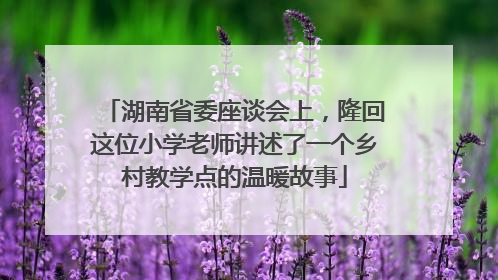 湖南省委座谈会上，隆回这位小学老师讲述了一个乡村教学点的温暖故事
