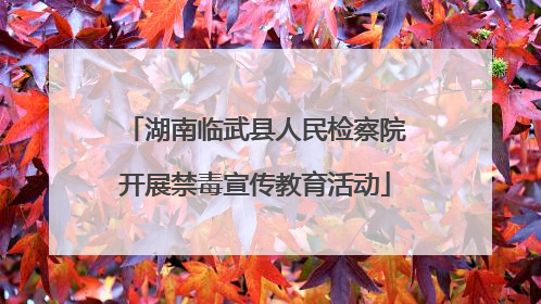 湖南临武县人民检察院开展禁毒宣传教育活动