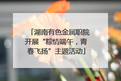 湖南有色金属职院开展“粽情端午，青春飞扬”主题活动