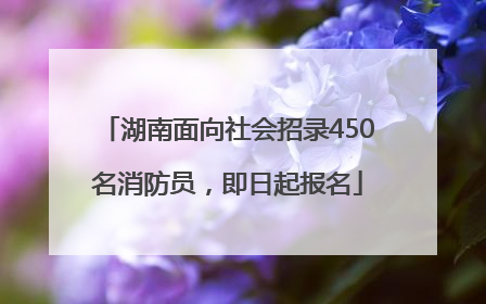 湖南面向社会招录450名消防员，即日起报名