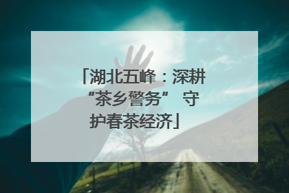 湖北五峰：深耕“茶乡警务” 守护春茶经济