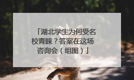 湖北学生为何受名校青睐？答案在这场咨询会（组图）