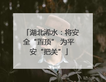 湖北浠水：将安全“置顶” 为平安“把关”