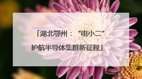 湖北鄂州：“电小二”护航半导体集群新征程