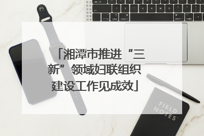 湘潭市推进“三新”领域妇联组织建设工作见成效