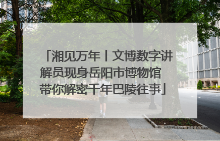 湘见万年丨文博数字讲解员现身岳阳市博物馆 带你解密千年巴陵往事