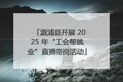 溆浦县开展 2025 年“工会帮就业”直播带岗活动
