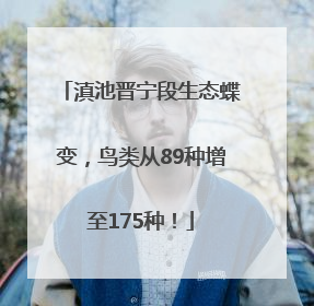 滇池晋宁段生态蝶变，鸟类从89种增至175种！