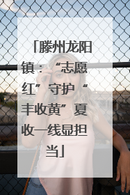 滕州龙阳镇：“志愿红”守护“丰收黄”夏收一线显担当