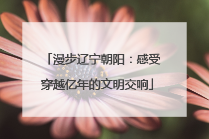 漫步辽宁朝阳：感受穿越亿年的文明交响