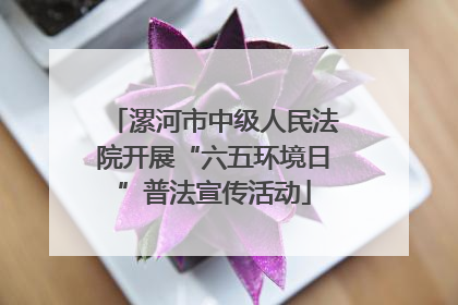 漯河市中级人民法院开展“六五环境日”普法宣传活动