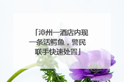 漳州一酒店内现一条活鳄鱼，警民联手快速处置