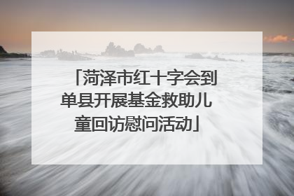 菏泽市红十字会到单县开展基金救助儿童回访慰问活动