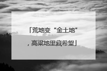 荒地变“金土地”，高粱地里藏希望