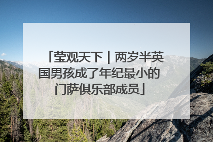 莹观天下｜两岁半英国男孩成了年纪最小的门萨俱乐部成员