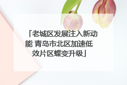 老城区发展注入新动能 青岛市北区加速低效片区蝶变升级