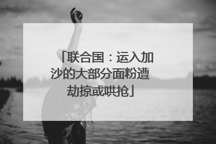 联合国：运入加沙的大部分面粉遭劫掠或哄抢