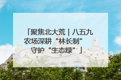 聚焦北大荒｜八五九农场深耕“林长制” 守护“生态绿”
