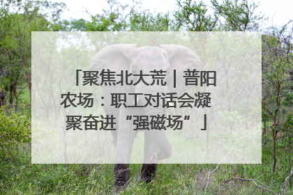 聚焦北大荒｜普阳农场：职工对话会凝聚奋进“强磁场”