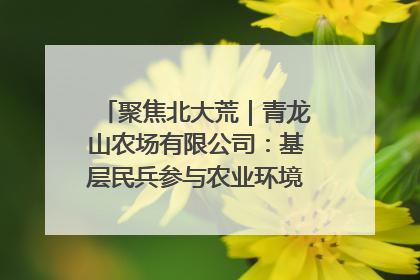 聚焦北大荒｜青龙山农场有限公司：基层民兵参与农业环境综合治理显效