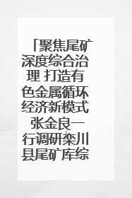 聚焦尾矿深度综合治理 打造有色金属循环经济新模式 张金良一行调研栾川县尾矿库综合治理工作