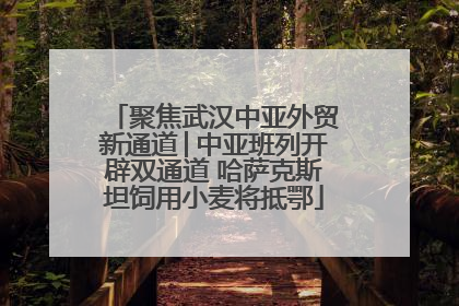 聚焦武汉中亚外贸新通道│中亚班列开辟双通道 哈萨克斯坦饲用小麦将抵鄂