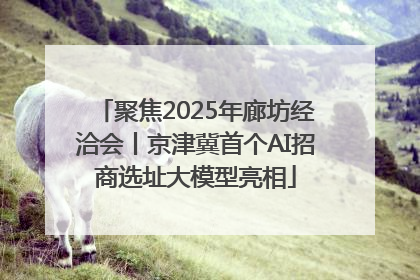 聚焦2025年廊坊经洽会丨京津冀首个AI招商选址大模型亮相