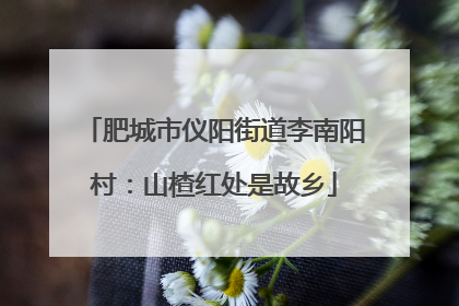 肥城市仪阳街道李南阳村：山楂红处是故乡