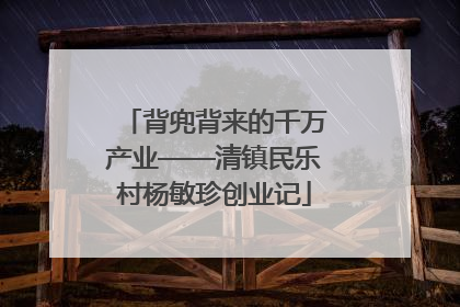 背兜背来的千万产业——清镇民乐村杨敏珍创业记
