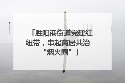 胜阳港街道党建红纽带，串起商居共治 “烟火圈”