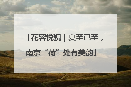 花容悦貌｜夏至已至，南京“荷”处有美韵