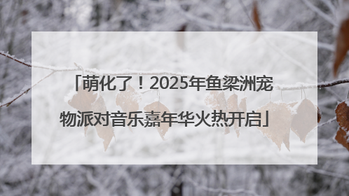 萌化了！2025年鱼梁洲宠物派对音乐嘉年华火热开启