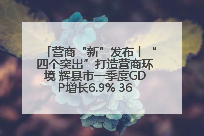 营商“新”发布丨“四个突出”打造营商环境 辉县市一季度GDP增长6.9% 36个重点项目落地