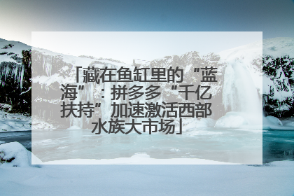 藏在鱼缸里的“蓝海”：拼多多“千亿扶持”加速激活西部水族大市场