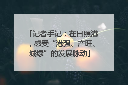记者手记：在日照港，感受“港强、产旺、城绿”的发展脉动