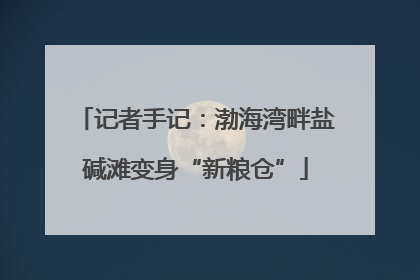 记者手记：渤海湾畔盐碱滩变身“新粮仓”