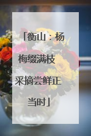 衡山：杨梅缀满枝 采摘尝鲜正当时