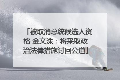 被取消总统候选人资格 金文洙：将采取政治法律措施讨回公道