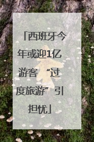西班牙今年或迎1亿游客 “过度旅游”引担忧