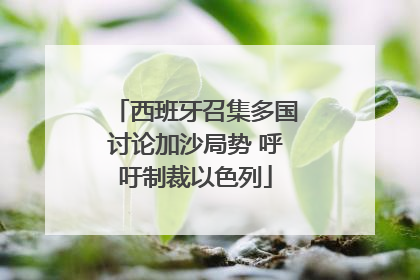 西班牙召集多国讨论加沙局势 呼吁制裁以色列