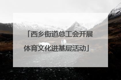 西乡街道总工会开展体育文化进基层活动