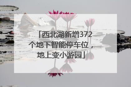 西北湖新增372个地下智能停车位，地上变小游园