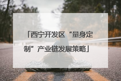 西宁开发区“量身定制”产业链发展策略
