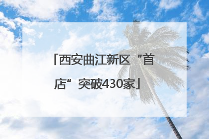 西安曲江新区“首店”突破430家