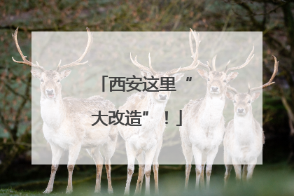 西安这里“大改造”！