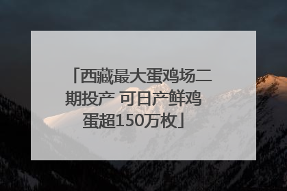 西藏最大蛋鸡场二期投产 可日产鲜鸡蛋超150万枚
