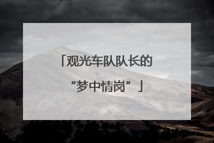 观光车队队长的“梦中情岗”